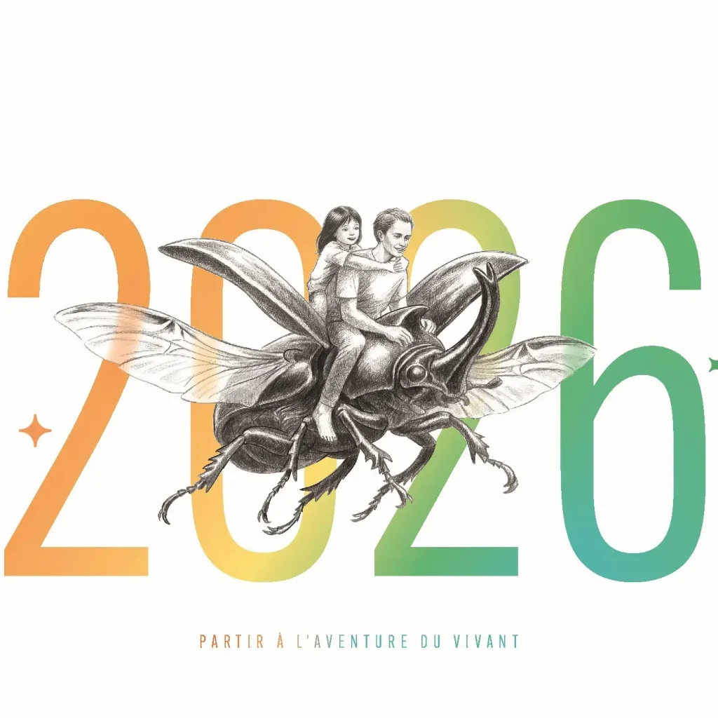 Carte de vœux 2026